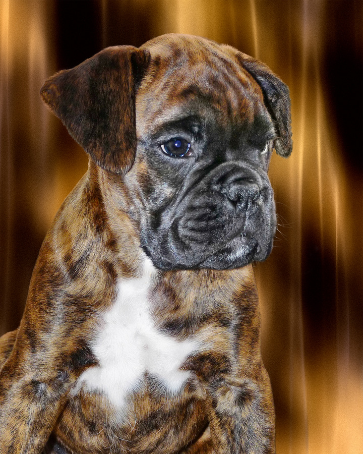 = Third - David Robinson